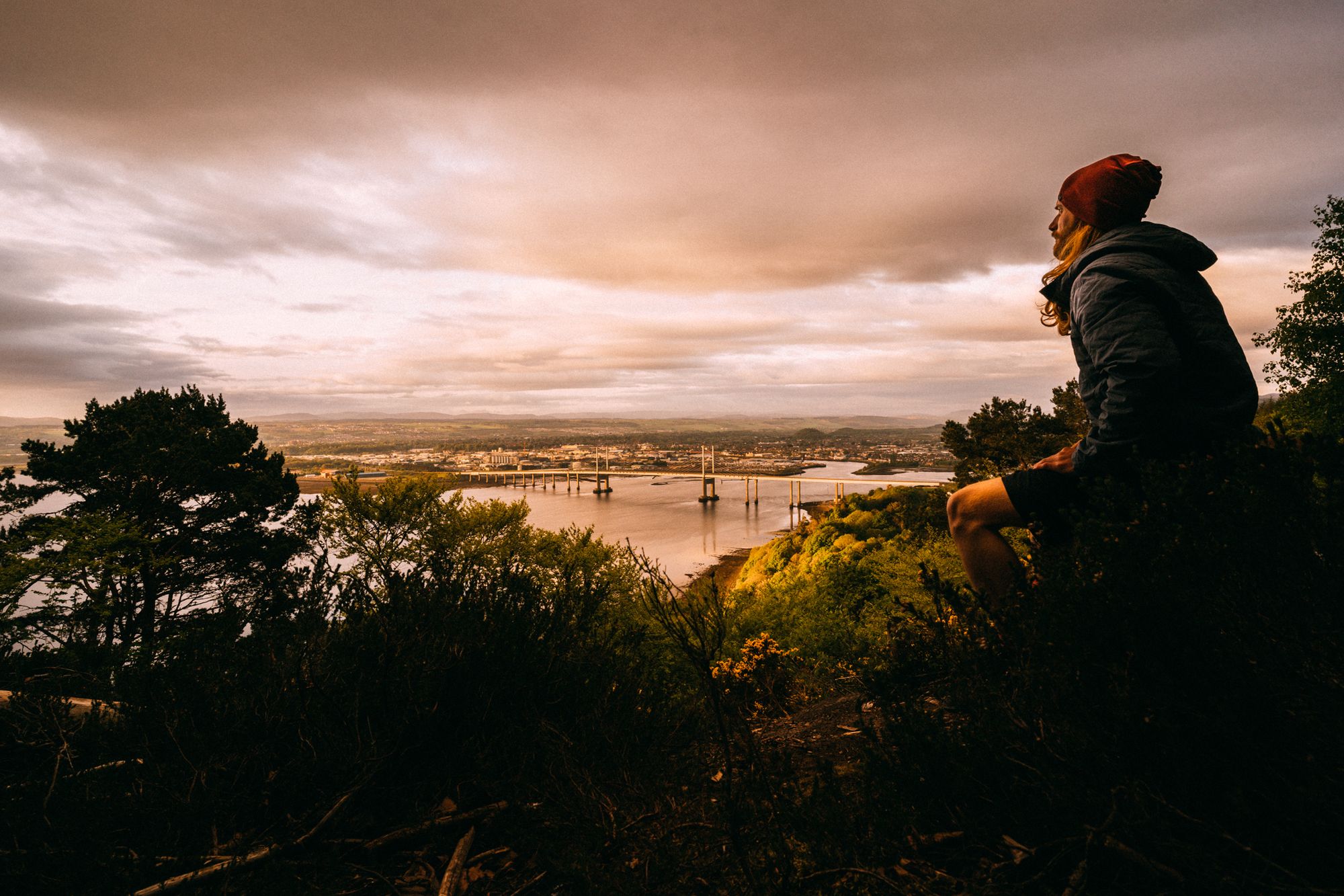 A Meditation into the Ancient Forests of Britain